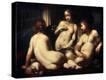 Stretched Canvas Print