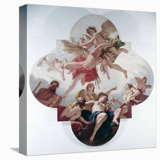 Stretched Canvas Print, , large
