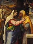 The Visitation, 1519-21-Sebastien Bourdon-Framed Giclee Print