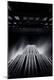 Premium Photographic Print
