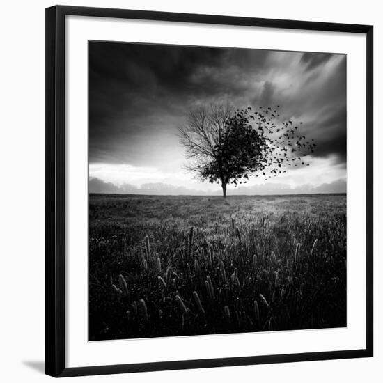 Photographic Print, , large