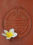 Long Life Symbol and Lotus Flower-Sebastien Desarmaux-Framed Premier Image Canvas