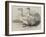 Sebastopol Geese at the Crystal Palace Poultry Show-Harrison William Weir-Framed Giclee Print