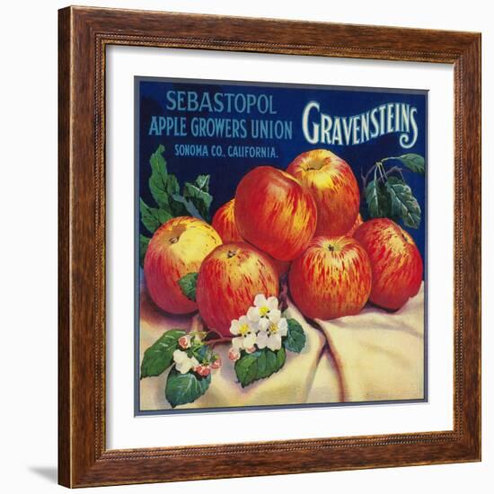 Sebastopol Gravensteins Apple Label - Sonoma, CA-Lantern Press-Framed Premium Giclee Print