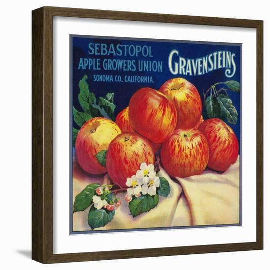 Sebastopol Gravensteins Apple Label - Sonoma, CA-Lantern Press-Framed Art Print