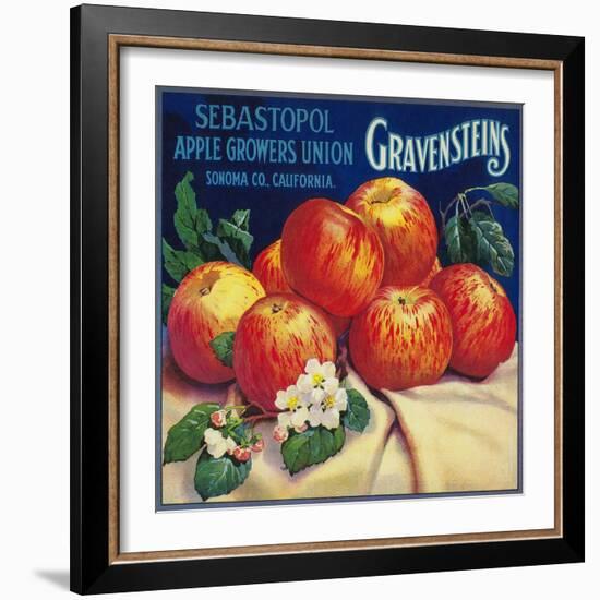 Sebastopol Gravensteins Apple Label - Sonoma, CA-Lantern Press-Framed Art Print