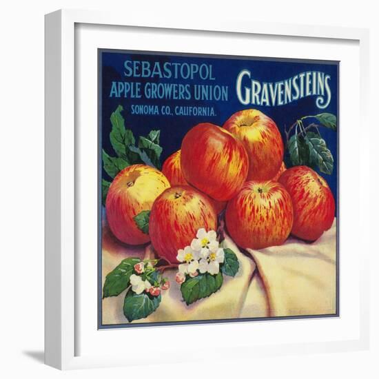 Sebastopol Gravensteins Apple Label - Sonoma, CA-Lantern Press-Framed Art Print