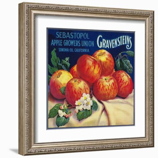 Sebastopol Gravensteins Apple Label - Sonoma, CA-Lantern Press-Framed Art Print