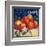 Sebastopol Gravensteins Apple Label - Sonoma, CA-Lantern Press-Framed Art Print