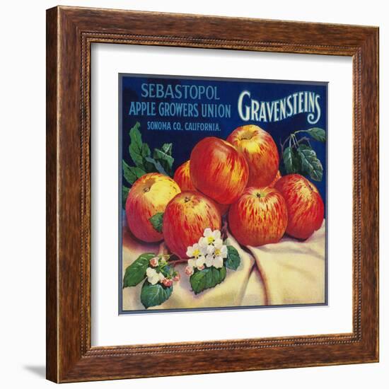 Sebastopol Gravensteins Apple Label - Sonoma, CA-Lantern Press-Framed Art Print