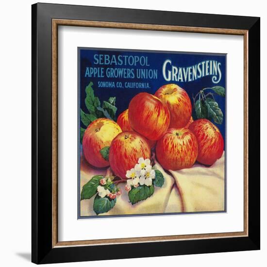 Sebastopol Gravensteins Apple Label - Sonoma, CA-Lantern Press-Framed Art Print
