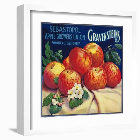 Sebastopol Gravensteins Apple Label - Sonoma, CA-Lantern Press-Framed Art Print