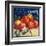 Sebastopol Gravensteins Apple Label - Sonoma, CA-Lantern Press-Framed Art Print