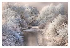 Winter Song-Sebestyen Bela-Framed Premier Image Canvas
