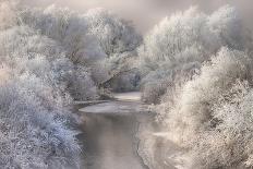 Winter Song-Sebestyen Bela-Framed Premium Photographic Print