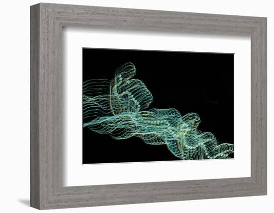 Secession-Heidi Westum-Framed Photographic Print