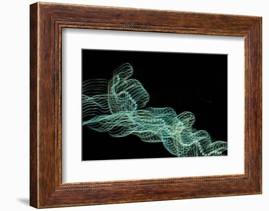 Secession-Heidi Westum-Framed Photographic Print