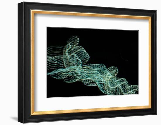 Secession-Heidi Westum-Framed Photographic Print