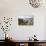 Second Beach at High Tide with Boulders Visible, Boulders Beach National Park, Simonstown-Kimberly Walker-Photographic Print displayed on a wall