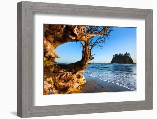 Second Beach at Olympic National Park, Washington, USA-null-Framed Art Print