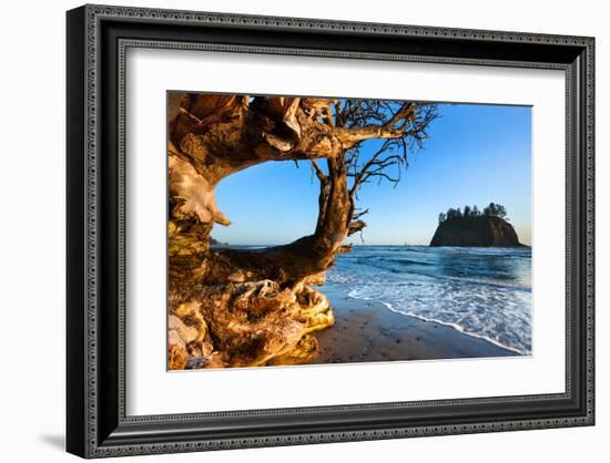 Second Beach at Olympic National Park, Washington, USA-null-Framed Art Print