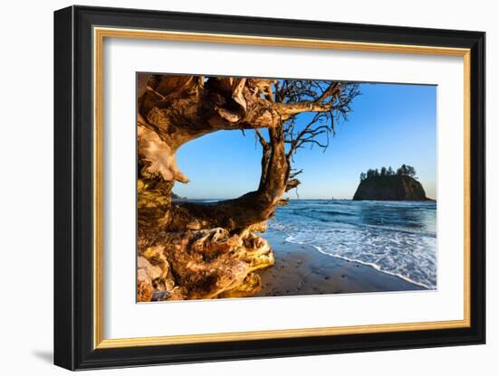 Second Beach at Olympic National Park, Washington, USA-null-Framed Art Print