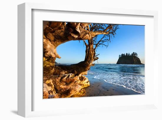 Second Beach at Olympic National Park, Washington, USA-null-Framed Art Print