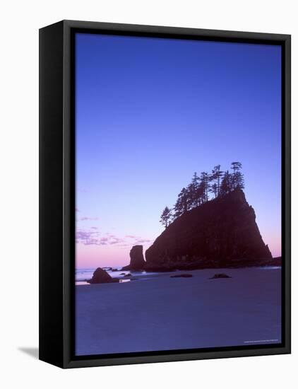 Second Beach Dawn, Olympic National Park, Washington, USA-Rob Tilley-Framed Premier Image Canvas