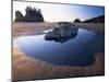 Second Beach, Olympic National Park, Unesco World Heritage Site, Washington State, USA-Colin Brynn-Mounted Photographic Print