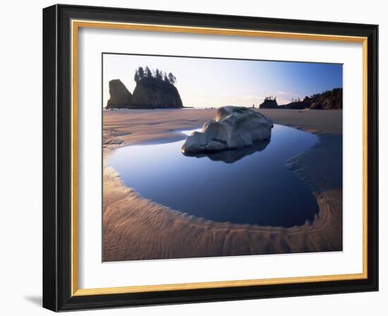 Second Beach, Olympic National Park, Unesco World Heritage Site, Washington State, USA-Colin Brynn-Framed Photographic Print