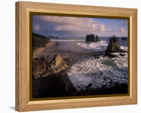 Second Beach, Olympic National Park, Washington, USA-Art Wolfe-Framed Premier Image Canvas