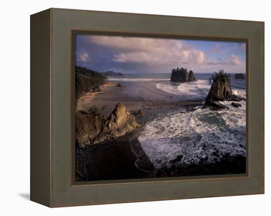 Second Beach, Olympic National Park, Washington, USA-Art Wolfe-Framed Premier Image Canvas