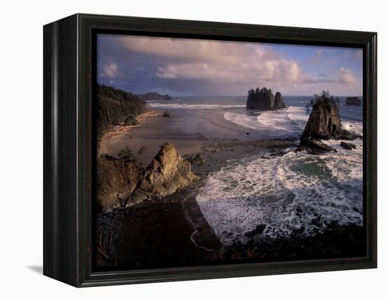 Second Beach, Olympic National Park, Washington, USA-Art Wolfe-Framed Premier Image Canvas