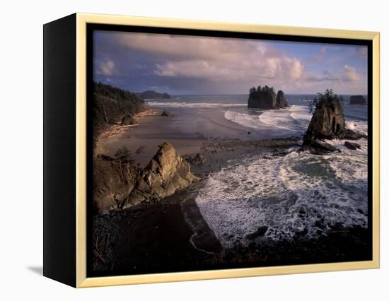 Second Beach, Olympic National Park, Washington, USA-Art Wolfe-Framed Premier Image Canvas