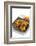 Second Course-Fabio Petroni-Framed Photographic Print