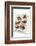 Second Course-Fabio Petroni-Framed Photographic Print