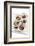 Second Course-Fabio Petroni-Framed Photographic Print