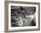 Second Hand Car Shop, 1921-Asahel Curtis-Framed Giclee Print