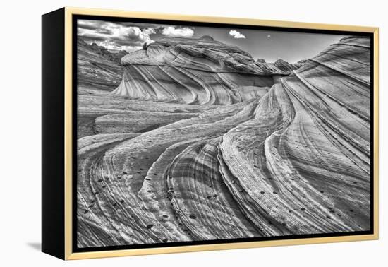 Second Wave Zion National Park Kanab, Utah, USA-John Ford-Framed Premier Image Canvas