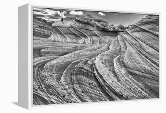 Second Wave Zion National Park Kanab, Utah, USA-John Ford-Framed Premier Image Canvas
