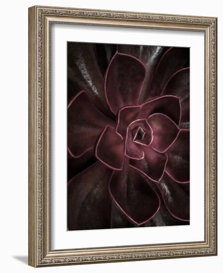 Secret 16-Design Fabrikken-Framed Photographic Print