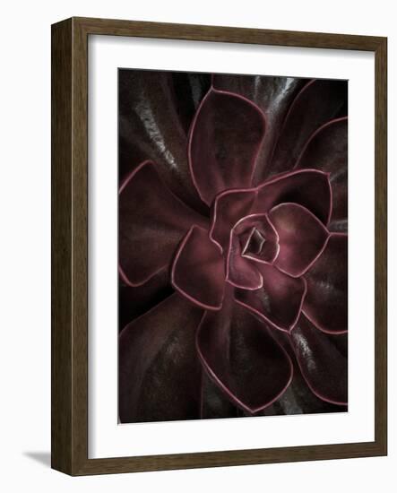 Secret 16-Design Fabrikken-Framed Photographic Print