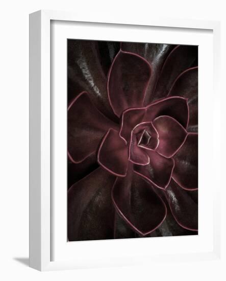 Secret 16-Design Fabrikken-Framed Photographic Print