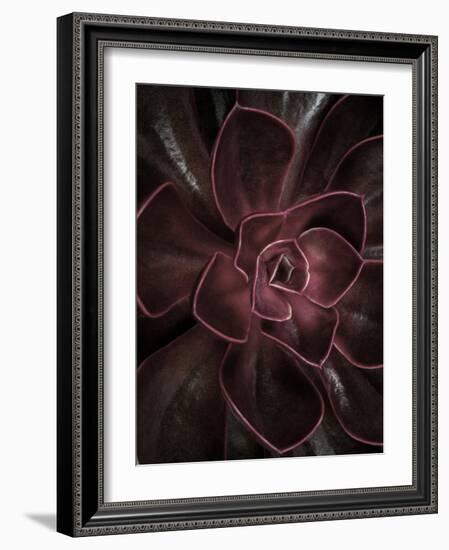 Secret 16-Design Fabrikken-Framed Photographic Print