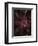 Secret 16-Design Fabrikken-Framed Photographic Print