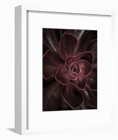 Secret 16-Design Fabrikken-Framed Photographic Print