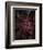 Secret 16-Design Fabrikken-Framed Photographic Print