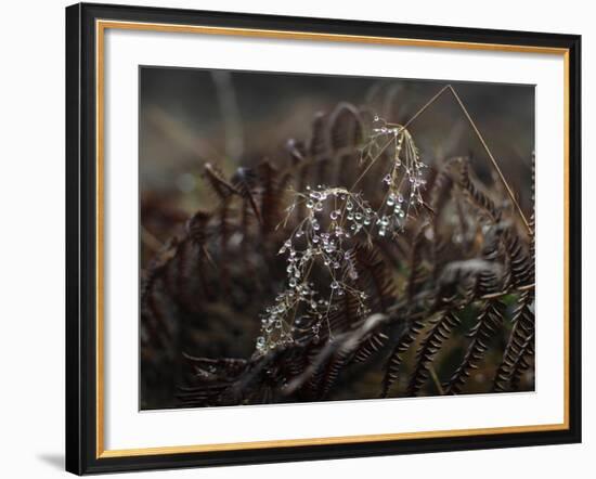 Secret 2-Design Fabrikken-Framed Photographic Print