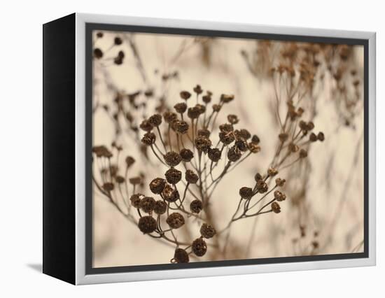 Secret 3-Design Fabrikken-Framed Premier Image Canvas