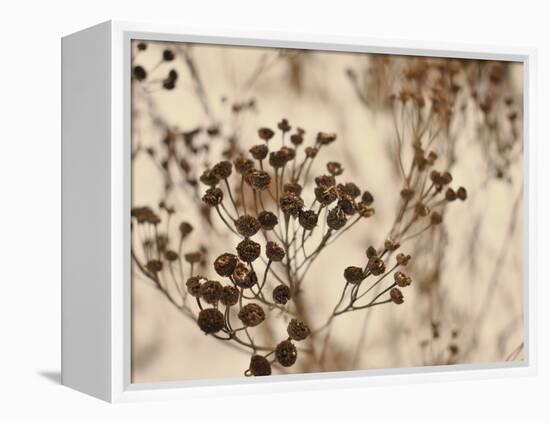 Secret 3-Design Fabrikken-Framed Premier Image Canvas